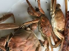 清蒸毛蟹-东方红海鲜百汇(国际大厦店)