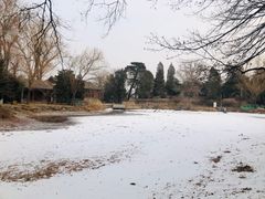 -颐和园