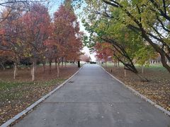 -长春世界雕塑园冰雪艺术天地