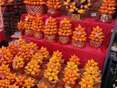 -越秀西湖花市(广州城市广场花卉店)