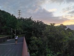 -金鸡山公园