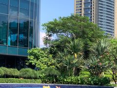 -希尔顿南海酒店·观廊大堂吧·海景下午茶