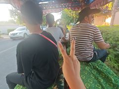 -特克斯八卦城