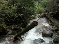 -浙北大峡谷