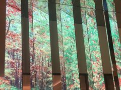 -桂满陇·海市蜃楼·黑金(国金店)