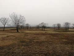 -盘龙城国家考古遗址公园