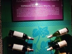 -青岛葡萄酒博物馆