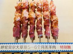 呼伦贝尔羊肉串-很久以前羊肉串(朝阳路店)