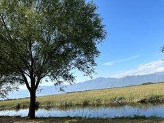 -野鸭湖国家湿地公园