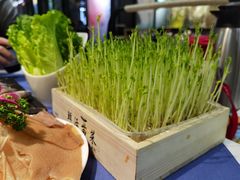-蜀九香.正宗成都火锅(安吉店)