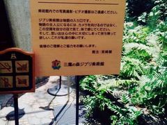 -三鹰之森吉卜力美术馆