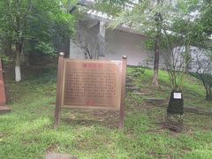 -广州神农草堂中医药博物馆