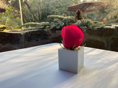 -三嚥阁 La Villa Restaurant