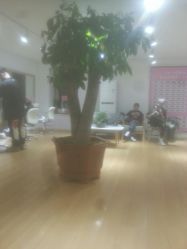点击看大图 -IN HAIR艺术+造型