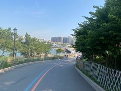 -小麦岛公园