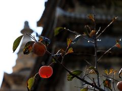-北京石刻艺术博物馆(五塔寺)