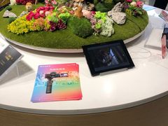 -Sony Store 索尼(上海淮海中路店)