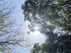 -橘子洲景区