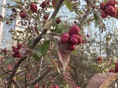 -元大都城垣遗址公园