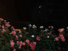 -张记焖窑·十五年专注焖烤(雍和宫店)