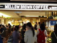 门面-MELLOW BROWN COFFEE by UCC(沙田新城市广场1期店)