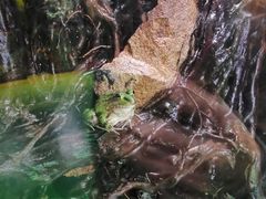 -海合安成都极地海洋公园