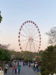 -摩瘦纤体订制减肥