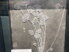 -大连自然博物馆