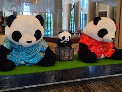 -成都保利公园皇冠假日酒店(熊猫基地店)