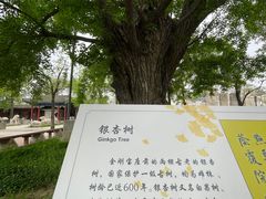 -北京石刻艺术博物馆(五塔寺)