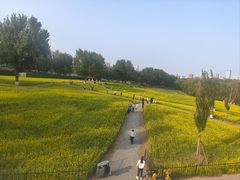 -长白岛森林公园