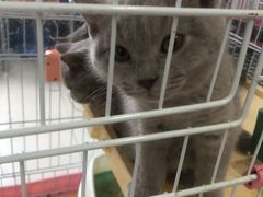 -三旗百汇商品城