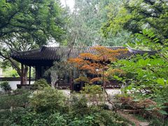 -上海醉白池公园
