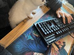 -贝康宠物医院·犬猫全科·小动物特色诊疗中心(东环路店)