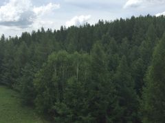 -塞罕坝国家级自然保护区