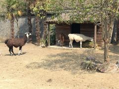 -茱萸湾风景区-售票处
