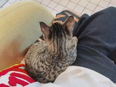 -ID.PHOTO照相馆(嘉里企业中心店)