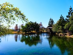 -三垟湿地