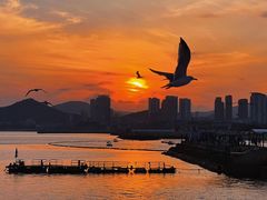 -星海广场