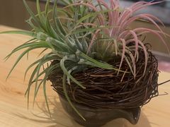 -江户前日本料理(瑞诗酒店店)