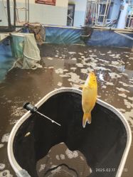 -巡鱼道·室内垂钓·渔具店