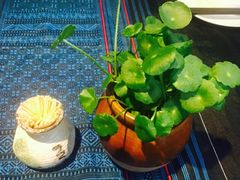 -新竹里馆·花园餐厅(兴苑路店)