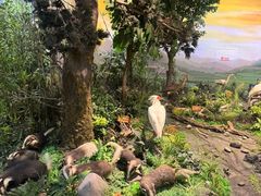 -陕西自然博物馆