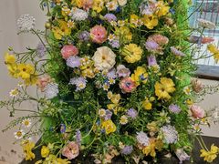 -石家庄市植物园