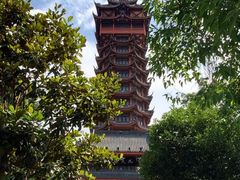 -塔子山公园