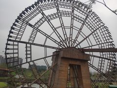 -王借岗森林公园