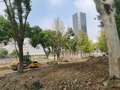-后襄河公园