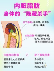 -Fundi张玉珊修身堂·indiba·BTL科技瘦身