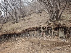 -藏山旅游风景区