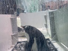 -杭州长乔极地海洋公园